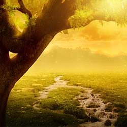 Cylinder Six - Chris Zabriskie