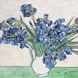 "Promenade Tranquillo" - Skidmore College Orchestra